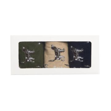 Barbour Pointer Dog Sock Gift Box TN16 Forest Mist One Size