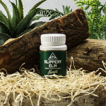 Bio-Health Slippery Elm 60pk