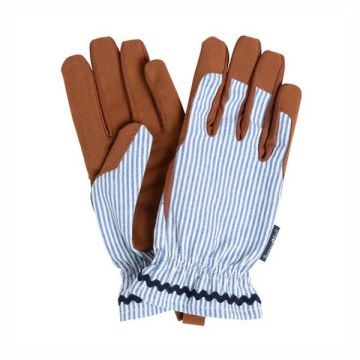 Colour Collection Gloves - Blue Stripe