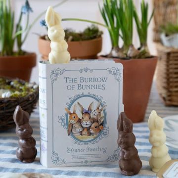 The Chocolate Gift Co - Burrow Of Bunnies Book 64g