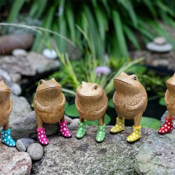 DCUK Jolly Frogs