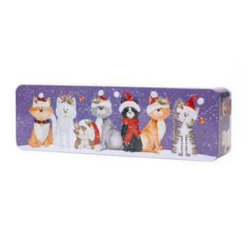 Farmhouse Biscuits Christmas Cat Tin 225g