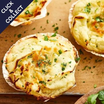 Fieldfare Coquille St Jacques