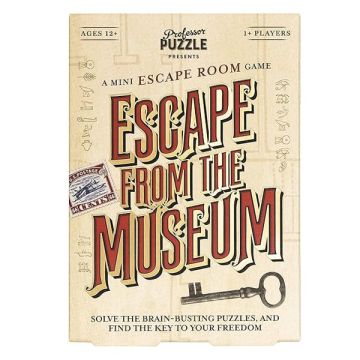 Professor Puzzle Escape From The Museum Game