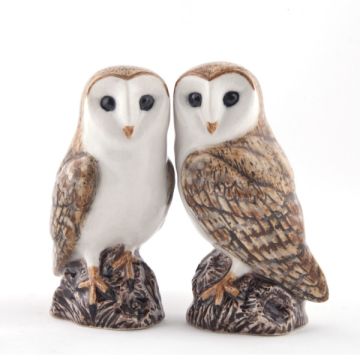 Quail Ceramics Barn Owl Salt & Pepper Shaker
