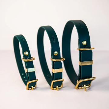 Storeys & Tails Biothane All Weather Collar Green XL