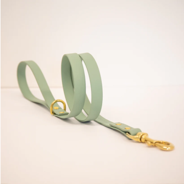 Storeys & Tails Biothane All Weather Lead Sage 1m X 2cm