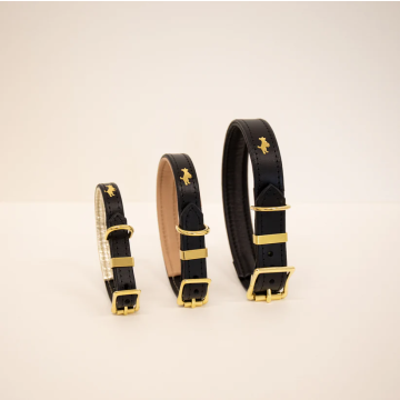Storeys & Tails Padded Luxury Leather Dog Collar Black M
