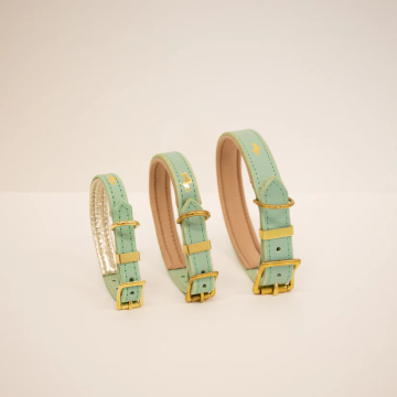 Storeys & Tails Padded Luxury Leather Dog Collar Mint S