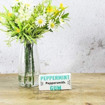 Peppersmith Peppermint Gum 15g