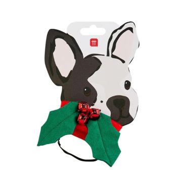 Talking Tables Botanical Hound Holly Dress Up