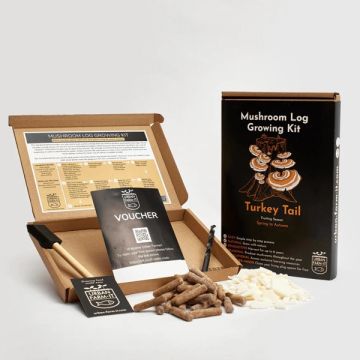Turkey Tail Mushroom Log Growing Kit