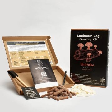 Shiitake Mushroom Log Growing Kit
