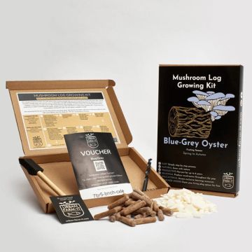 Blue-Grey Oyster Mushroom Log Growing Kit
