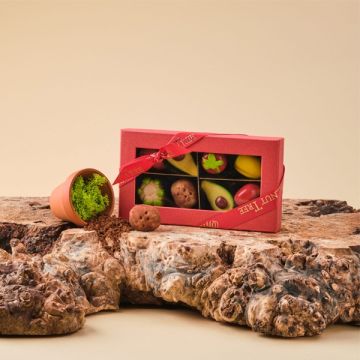 Walnut Tree Medium Gift Box Marzipan Vegetables                           