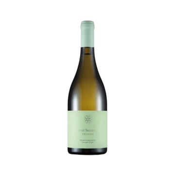 Castel Serranova Fiano 75cl
