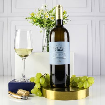 Bottega Vinai Trentino Pinot Grigio