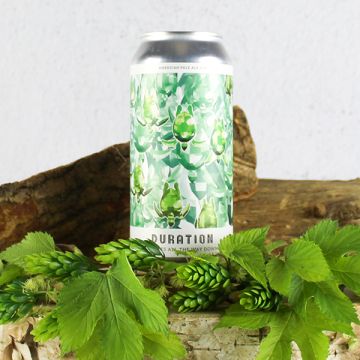 Duration Brewing Turtles All The Way Down American Pale