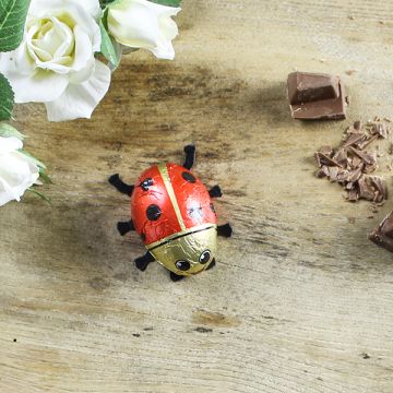 Baur Chocolate Ladybirds 18g